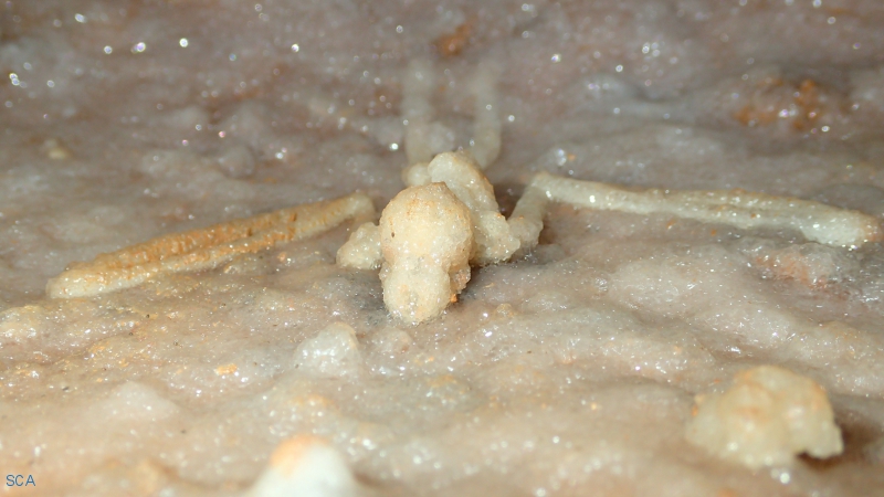 P6060035