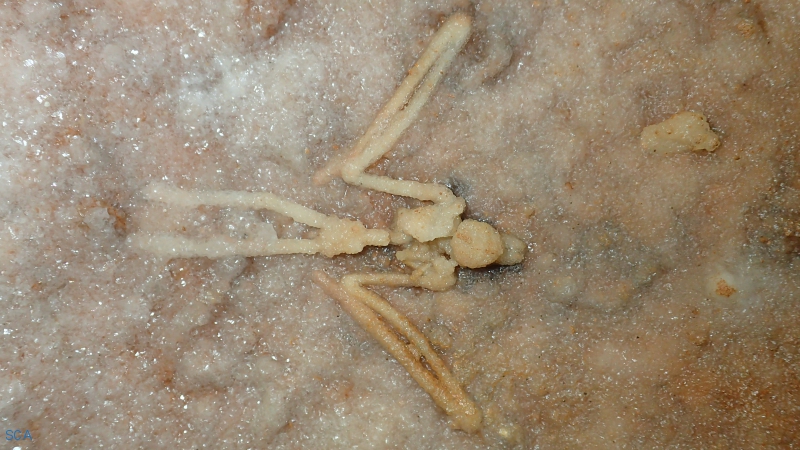 P6060039