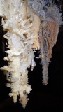P6060022