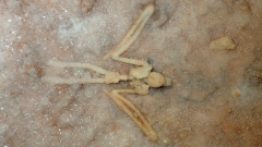 P6060039