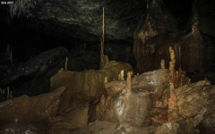 IMG_7812